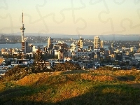 Nowa Zelandia, Auckland, Panorama