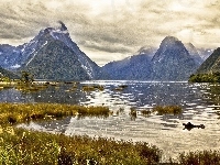 Chmury, Nowa Zelandia, Jezioro, Góry, Milford Sound