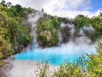 Jezioro, Nowa Zelandia, Waimangu Volcanic Valley, Para