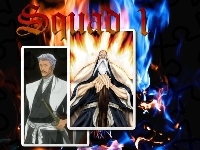 Bleach, Numer 1, Dywizja