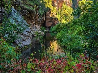 Arizona, Stany Zjednoczone, Sedona, Rzeka, Drzewa, Kamienie, West Fork Oak Creek, Skały