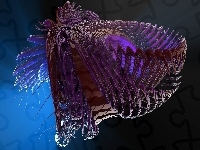 Obcy, 3D