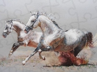 Konie, Obraz, Galop