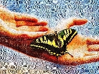 Obraz, Dłonie, Motyl, Olejny