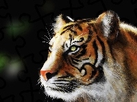 Obraz, Tygrys
