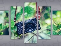 Dekoracja, Obrazy, Aparat fotograficzny Fujinon Aspherical Lens