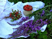 Kubek, Poziomki, Kwiaty, Obrus