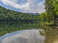 Odbicie, Jezioro, Chmury, Austria, Góry, Toplitzsee, Brzeg, Alpy, Drzewa, Las