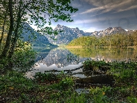 Almsee, Austria, Jezioro, Odbicie, Góry, Almtal, Drzewa