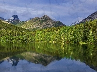 Odbicie, Góry, Las, Jezioro