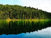 Odbicie, Jezioro, Lustrzane, Drzewa