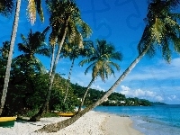 dka, Piasek, Niebo, Grenada, Palmy, Woda