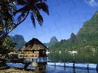 Żaglówki, Zatoka Cooka, Góry, Wyspa Moorea, Łodzie, Palmy