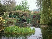 Ogród