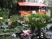 Ogród, Altanka