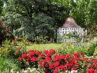 Altanka, Ogród, Róże