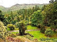 Ogród Botaniczny, Góry, Szkocja, Benmore, Argyll