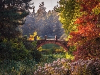 Ogród Botaniczny, Berlin, Most