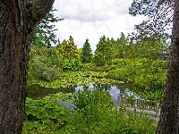 Ogród, Botaniczny