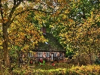 Ogród, Jesień, Dom, Drzewa