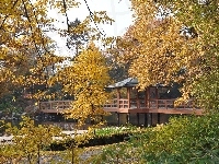 Ogród, Japoński