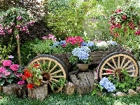 Kwiaty, Ogród, Wózek