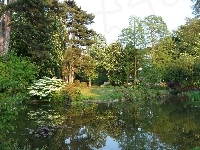 Park, Ogród, Jeziorko