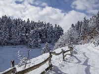 Ogrodzenie, Zima, Drzewa, Śnieg
