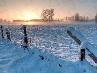 Śnieg, Świt, Łąka, Ogrodzenie, Drzewa