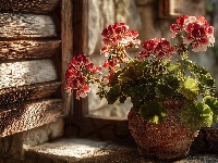 Parapet, Pelargonie, Stary, Grafika AI, Donica, Gliniana, Okiennice