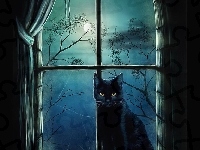 Okno, Czarny, Kot, Noc