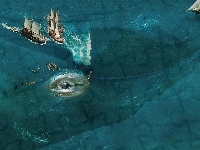 Oko, Ocean, Żaglowce, Wieloryb