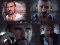 okulary, Dominic Purcell, komórka