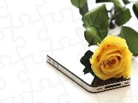 Róża, Żółta, Telefon