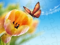 Tulipany, Żółte, Motyl