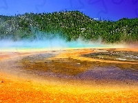 Gorące źródło, Las, Stany Zjednoczone, Park Narodowy Yellowstone, Opary