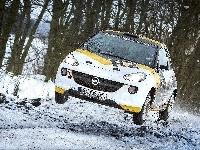 Opel Adam R2, Zima