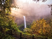 Drzewa, South Falls, Wodospad, Jesień, Trawa, Stan Oregon, Stany Zjednoczone, Skały, Park stanowy Silver Falls