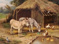 Osły, Edgar Hunt, Gospodarstwo