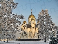 Ośnieżone, Świt, Cerkiew, Drzewa
