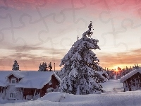Gmina Lillehammer, Domy, Drzewa, Zachód słońca, Norwegia, Zima, Ośnieżone