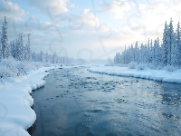 Krzewy, Rzeka, Zima, Ośnieżone, Śnieg, Drzewa