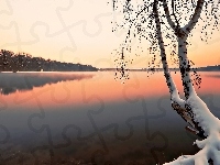 Ośnieżone Drzewo, Jezioro, Mgła