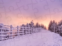 Ośnieżone, Wschód słońca, Zima, Ogrodzenie, Drzewa