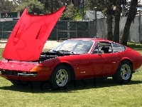 Maska, Otwarta, Ferrari Daytona