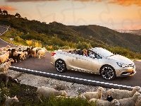 Zachód, Słońca, Droga, Opel, Cascada, Góry, Samochód, Owce