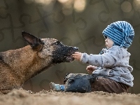 Owczarek belgijski malinois, Pies, Dziecko