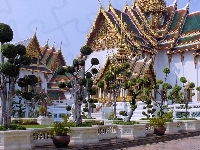 Ozdobne, Bangkok, Pałac, Drzewa