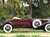 Packard, 1931, Samochód, Zabytkowy, Deluxe