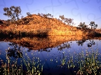 Pagórek, Australia, Woda, Trawy